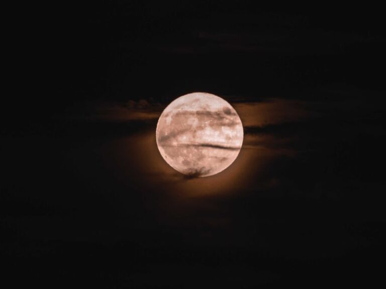 What would happen if the Moon disappeared