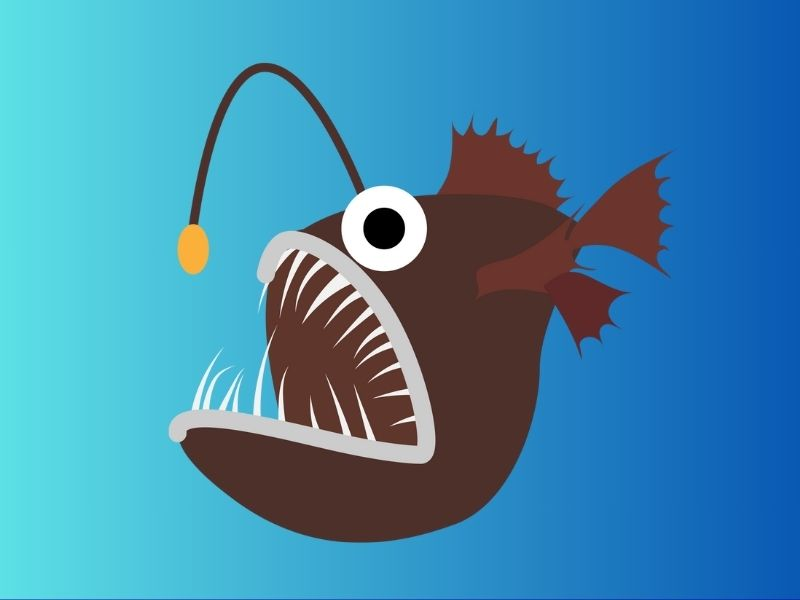 Female anglerfish